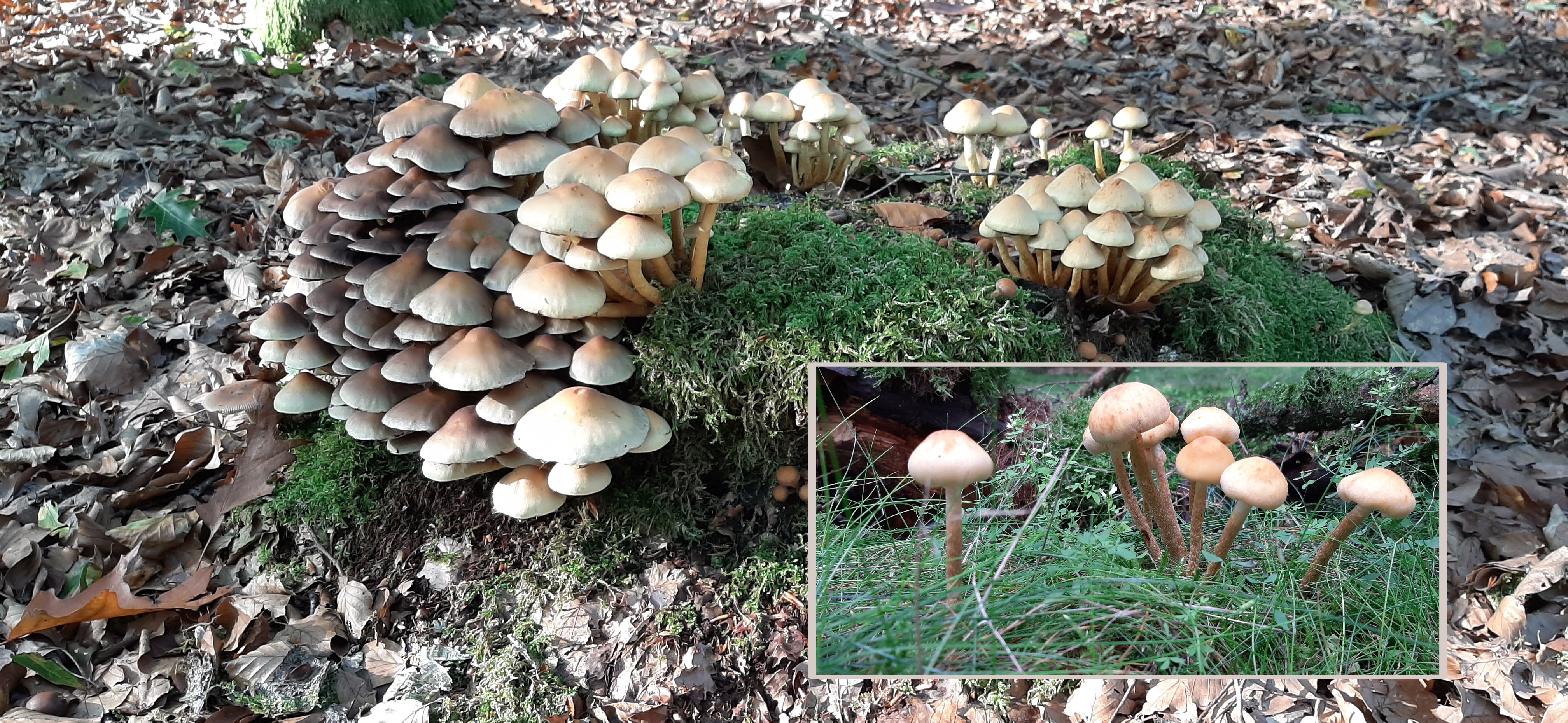 AddText_10-17-03.33.15